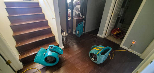 Best Flood restoration services  in Alta Sierra, CA
