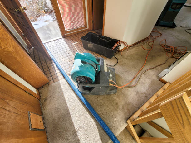 Best Flooded house restoration  in Alta Sierra, CA