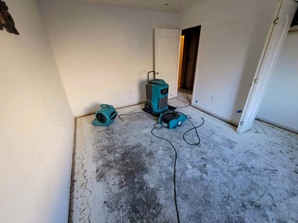 Best Water damage cleanup near me  in Alta Sierra, CA
