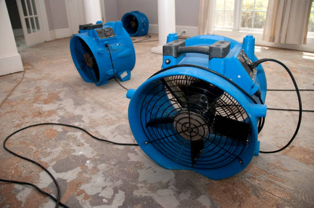 Best Flooded house restoration  in Alta Sierra, CA