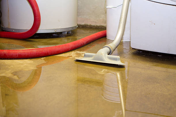 Best Basement water damage restoration  in Alta Sierra, CA